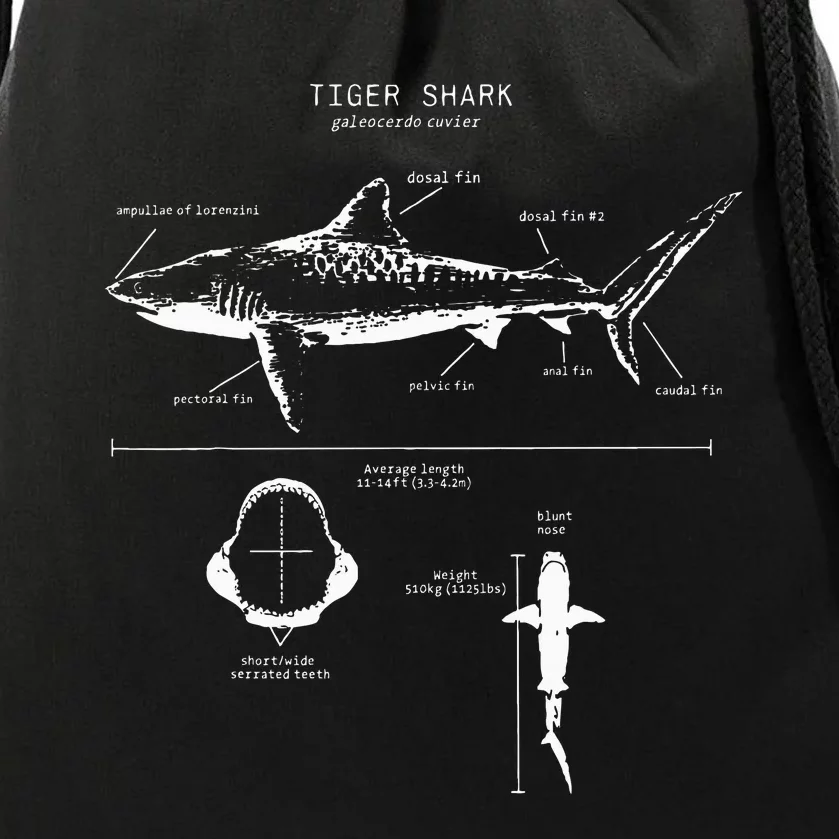 Tiger Shark Anatomy Marine Biologist Drawstring Bag