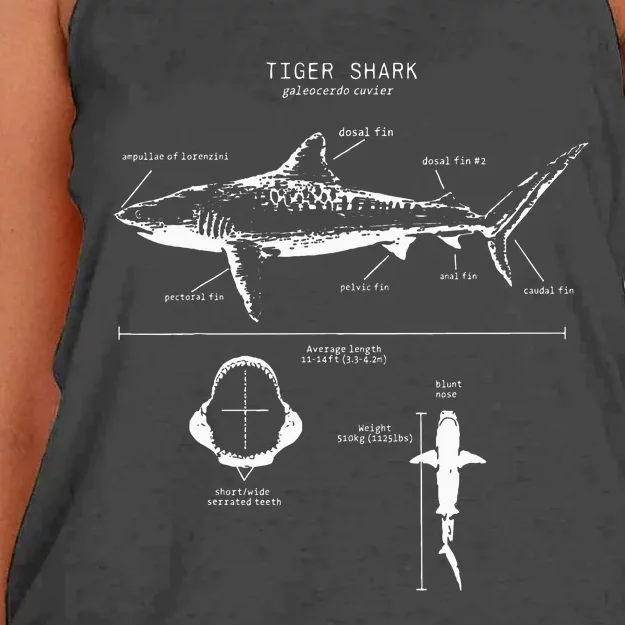 Tiger Shark Anatomy Marine Biologist Women's Knotted Racerback Tank