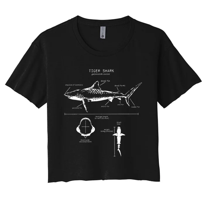 Tiger Shark Anatomy Marine Biologist Women's Crop Top Tee