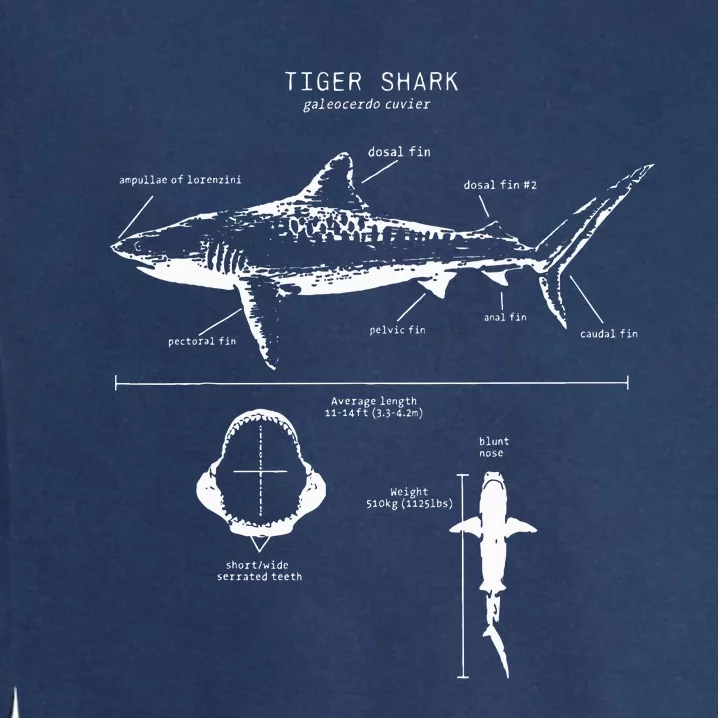 Tiger Shark Anatomy Marine Biologist Garment-Dyed Sweatshirt