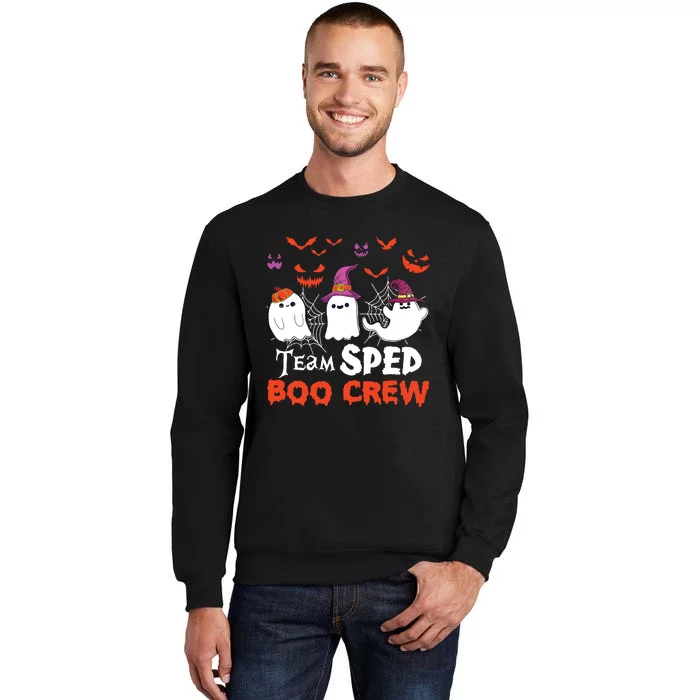 Team Sped Boo Crew Cute Ghost Halloween Costume Teacher Sweatshirt