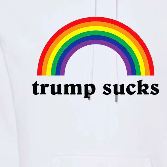 Trump Sucks Big Rainbow Anti Trump 2024 Election Lgbt Gay Premium Hoodie