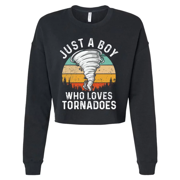 Tornado Storm Chasing Twister Hurricane Cropped Pullover Crew