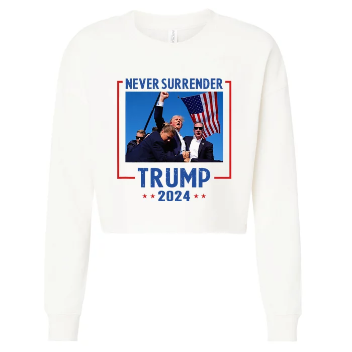 Trump Speech Fist In The Air Pennsylvania Trump 2024 Cropped Pullover Crew