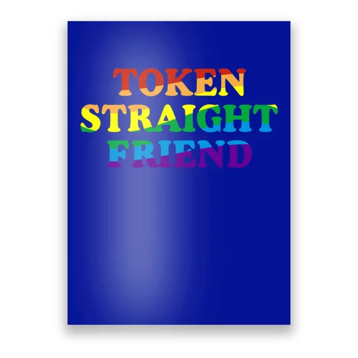 Token Straight Friend Rainbow Colors Poster