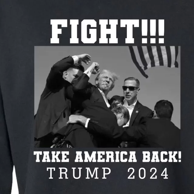 Trump Shot Fight For America Take America Back Trump 2024 Cropped Pullover Crew