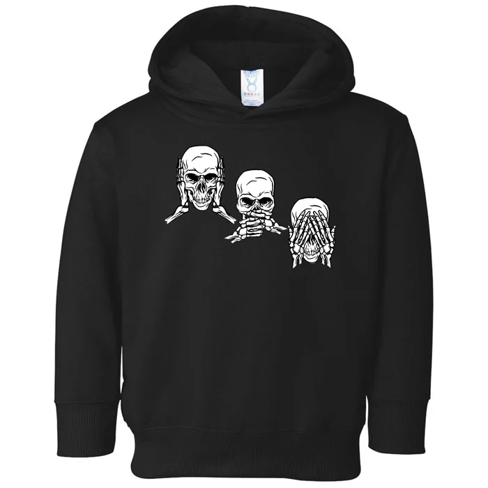 Three Skulls Head Toddler Hoodie