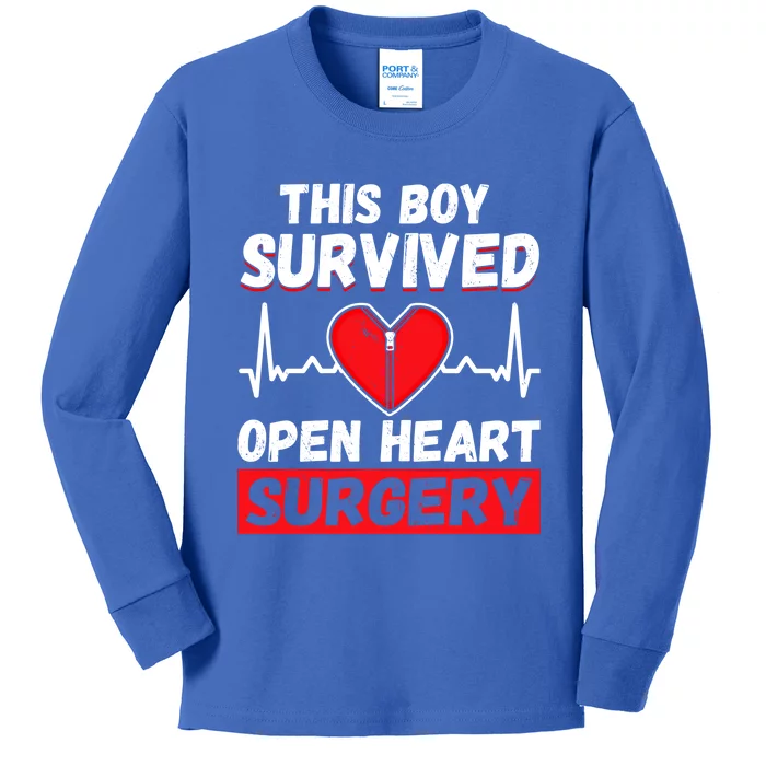 This Survived Meaningful Gift Survivor Open Heart Surgery Gift Kids Long Sleeve Shirt