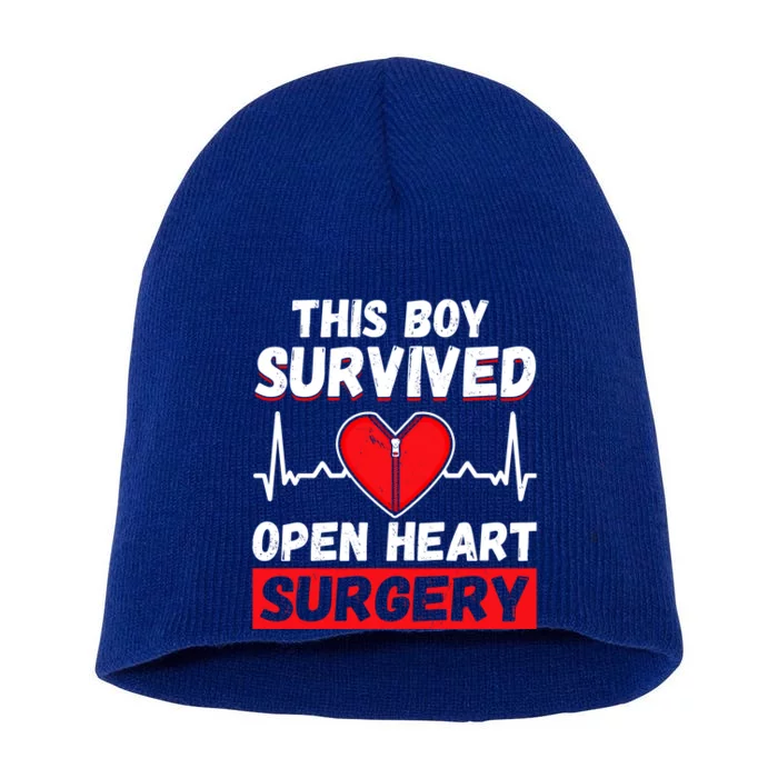 This Survived Meaningful Gift Survivor Open Heart Surgery Gift Short Acrylic Beanie