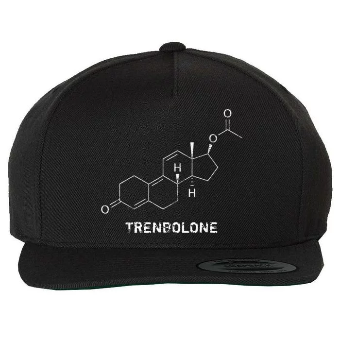 Trenbolone Steroid Molecule Hardcore Bodybuilding Wool Snapback Cap