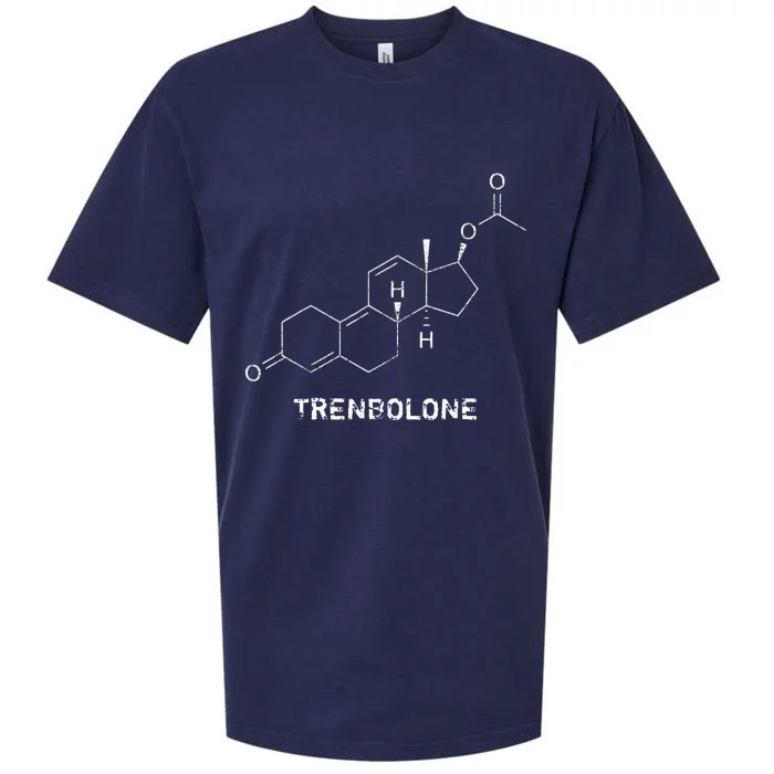 Trenbolone Steroid Molecule Hardcore Bodybuilding Sueded Cloud Jersey T-Shirt