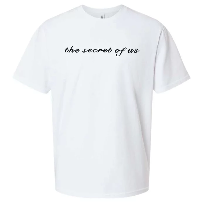 The Secret Of Us Sueded Cloud Jersey T-Shirt