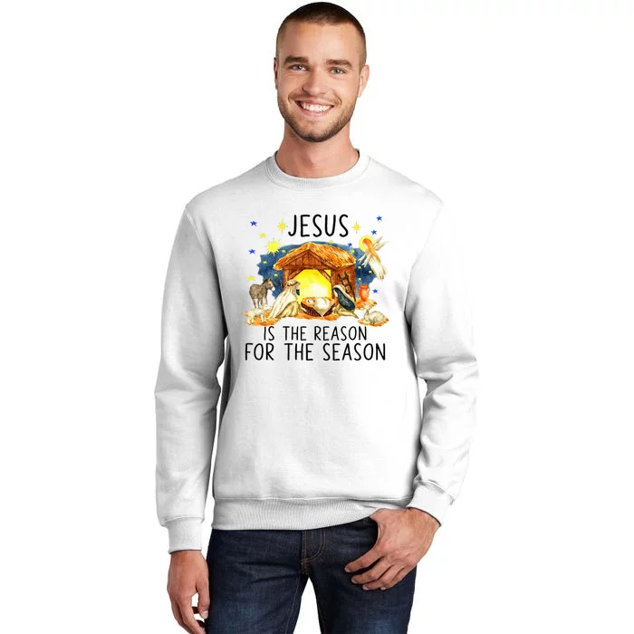 True Story of Jesus Birth Christmas Nativity Catholic Xmas Sweatshirt