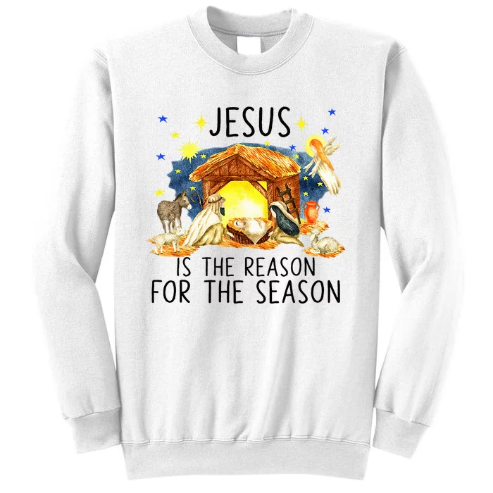 True Story of Jesus Birth Christmas Nativity Catholic Xmas Sweatshirt