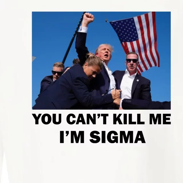 Trump Shot Pennsylvania Rally You CanT Kill Me IM Sigma Cropped Pullover Crew