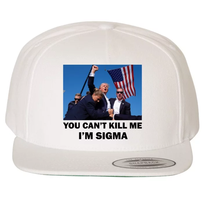 Trump Shot Pennsylvania Rally You CanT Kill Me IM Sigma Wool Snapback Cap