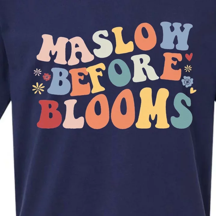 Teacher School Psychologist Special Ed Maslow Before Blooms Sueded Cloud Jersey T-Shirt