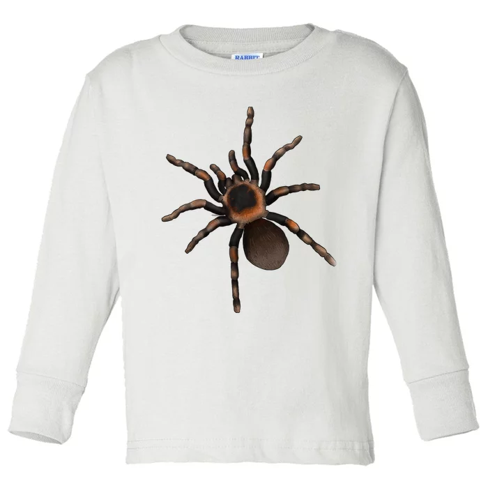 Tarantula Spider Red Knee Tarantula Toddler Long Sleeve Shirt