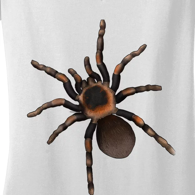 Tarantula Spider Red Knee Tarantula Women's V-Neck T-Shirt