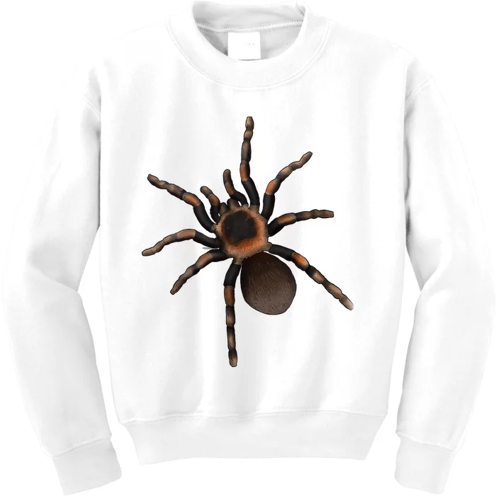 Tarantula Spider Red Knee Tarantula Kids Sweatshirt