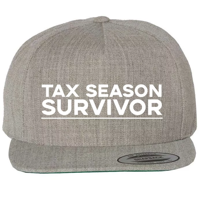 Tax Season Survivor, Funny Accountant Wool Snapback Cap