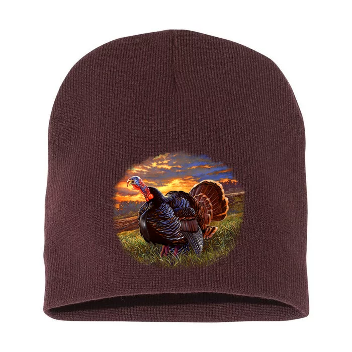 The Sunrise Turkey Short Acrylic Beanie