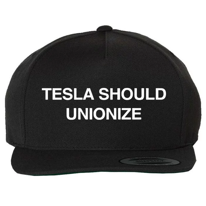 Tesla Should Unionize Wool Snapback Cap