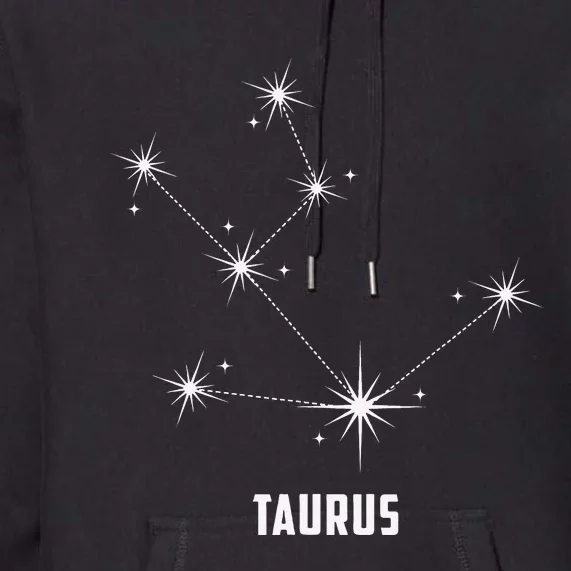 Taurus Sign Zodiac 2021 Star Constellation Horoscope Gift Premium Hoodie