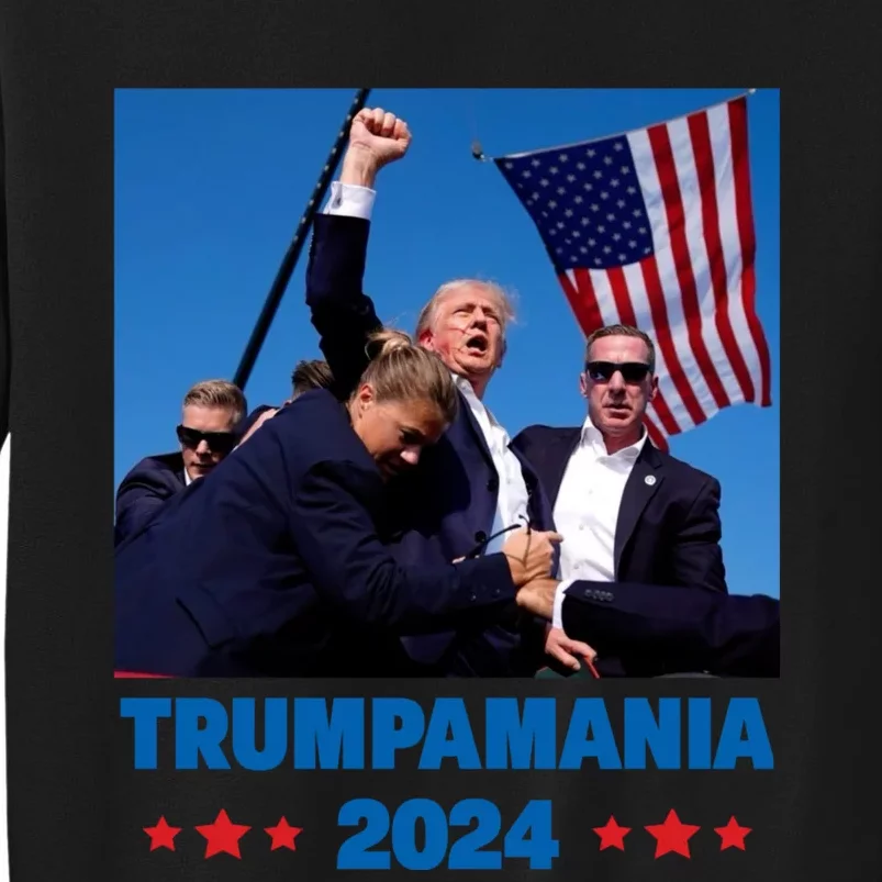 Trump Trumpamania 2024 Let Trumpamania Run Way Brother Sweatshirt