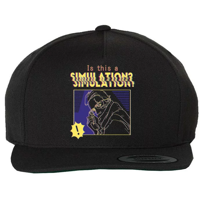 This This A Simulation Wool Snapback Cap