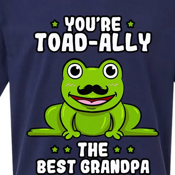 Toad-Ally The Best Grandpa Frog Lover Toad Grandfather Sueded Cloud Jersey T-Shirt