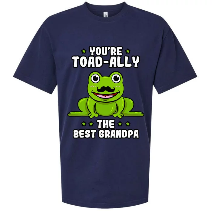 Toad-Ally The Best Grandpa Frog Lover Toad Grandfather Sueded Cloud Jersey T-Shirt