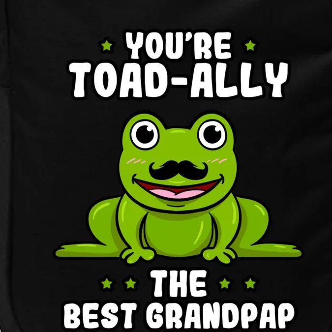 Toadgiftally The Best Grandpap Frog Lover Toad Grandfather Gift Impact Tech Backpack