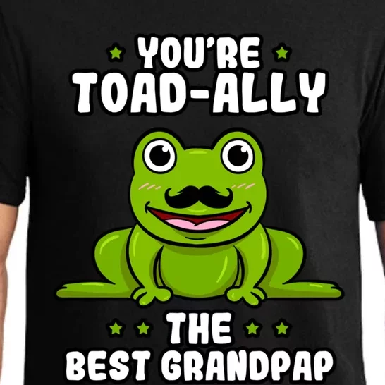 Toadgiftally The Best Grandpap Frog Lover Toad Grandfather Gift Pajama Set