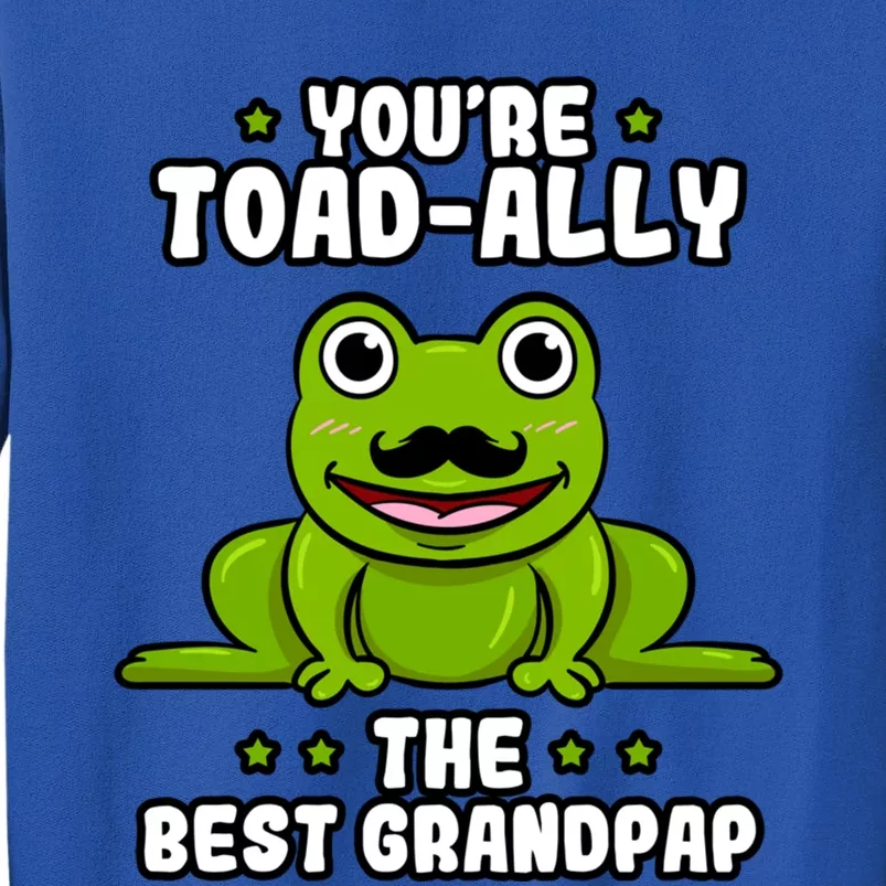 Toadgiftally The Best Grandpap Frog Lover Toad Grandfather Gift Sweatshirt