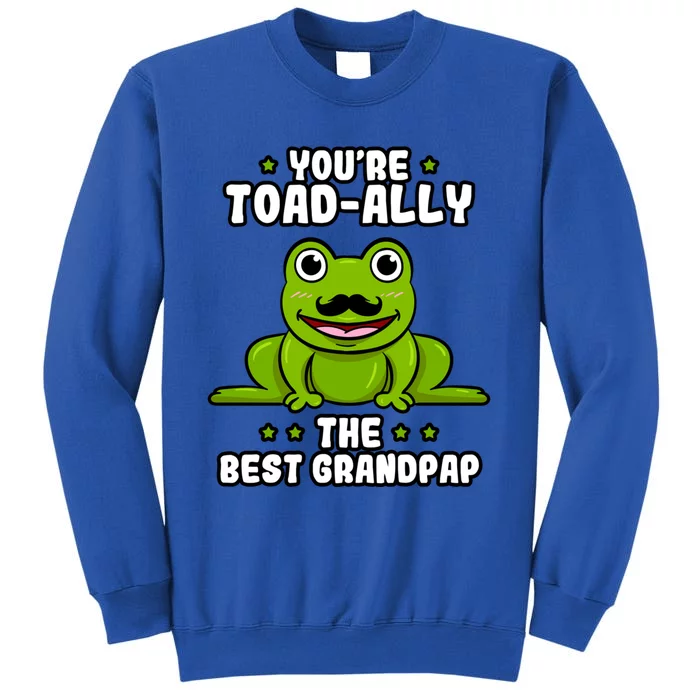 Toadgiftally The Best Grandpap Frog Lover Toad Grandfather Gift Tall Sweatshirt