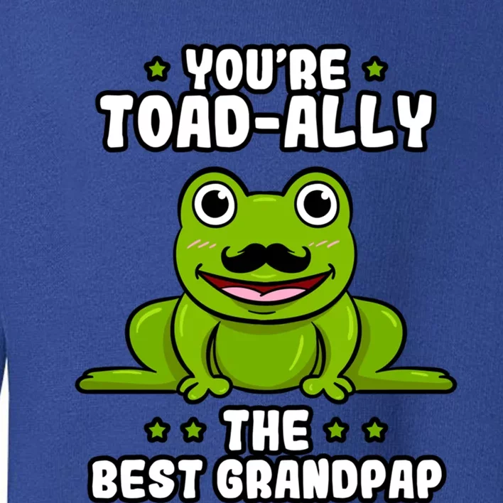 Toadgiftally The Best Grandpap Frog Lover Toad Grandfather Gift Toddler Sweatshirt