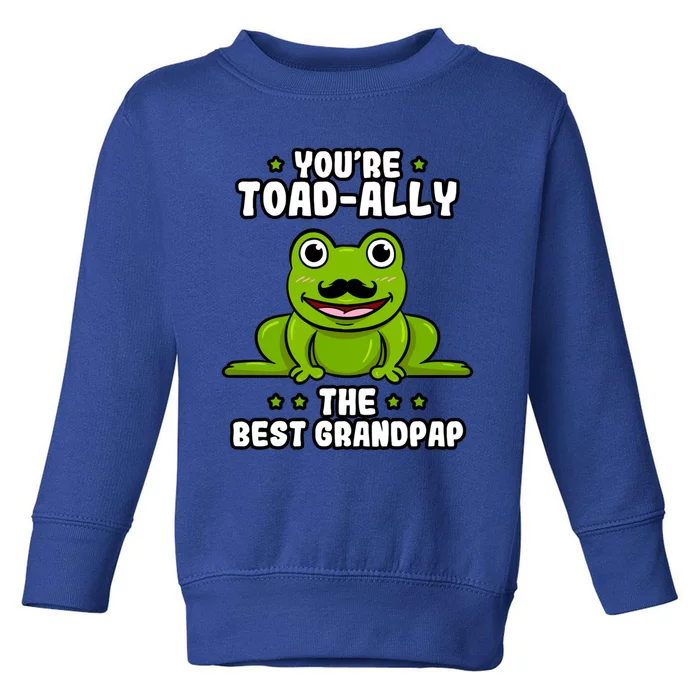 Toadgiftally The Best Grandpap Frog Lover Toad Grandfather Gift Toddler Sweatshirt