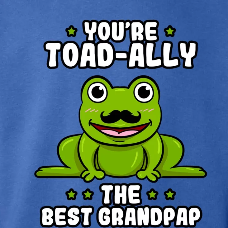 Toadgiftally The Best Grandpap Frog Lover Toad Grandfather Gift Toddler Hoodie