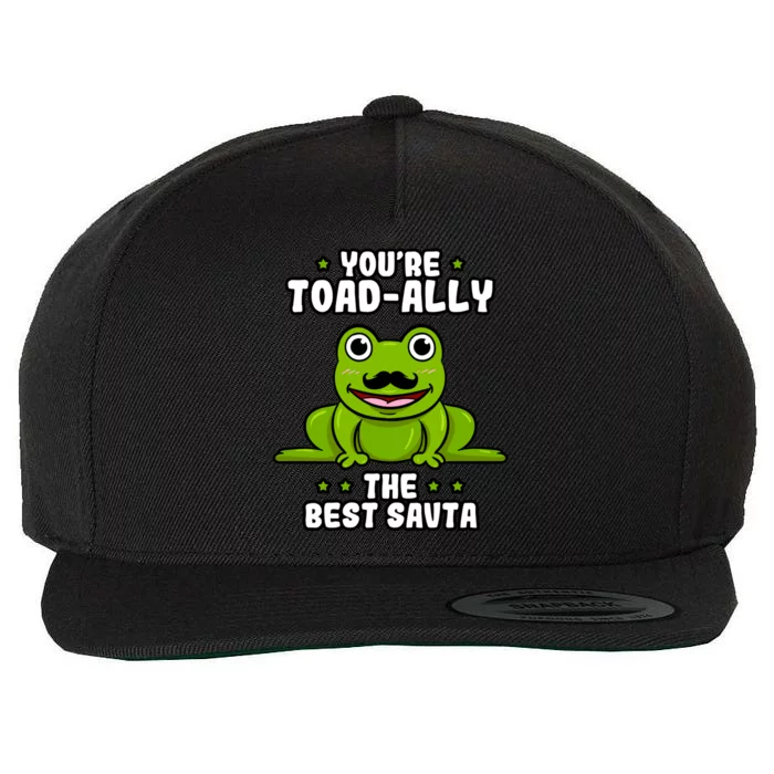 Toadgiftally The Best Savta Frog Lover Toad Grandfather Gift Wool Snapback Cap