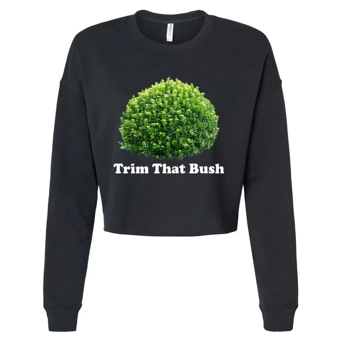 Trim That Bush Cropped Pullover Crew