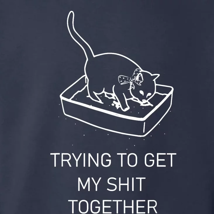 Trying To Get My Sht Together Cat In Litterbox Novelty Tee Toddler Hoodie