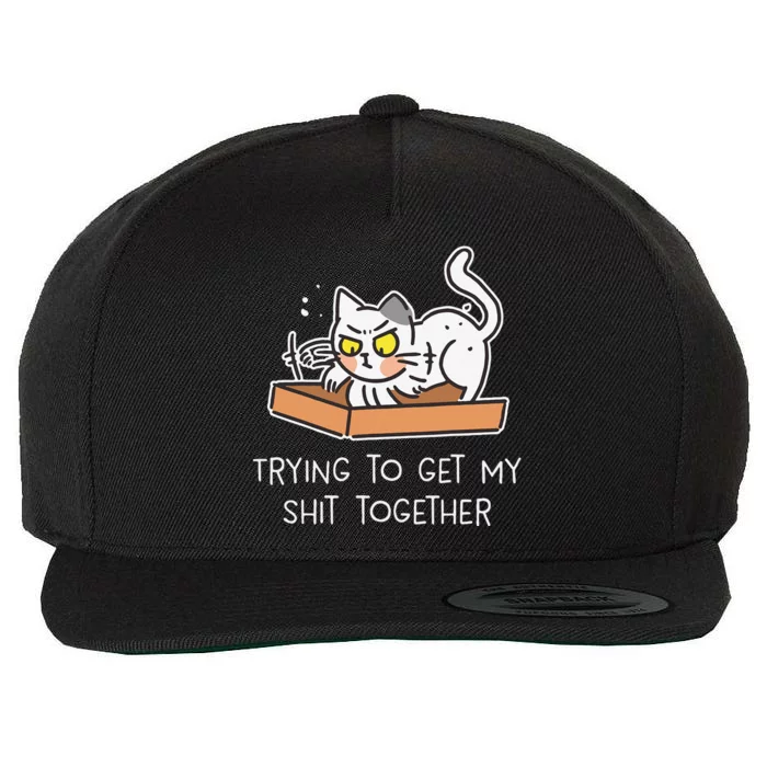 Trying To Get My Shit Together Cat Lover Funny Cat Wool Snapback Cap