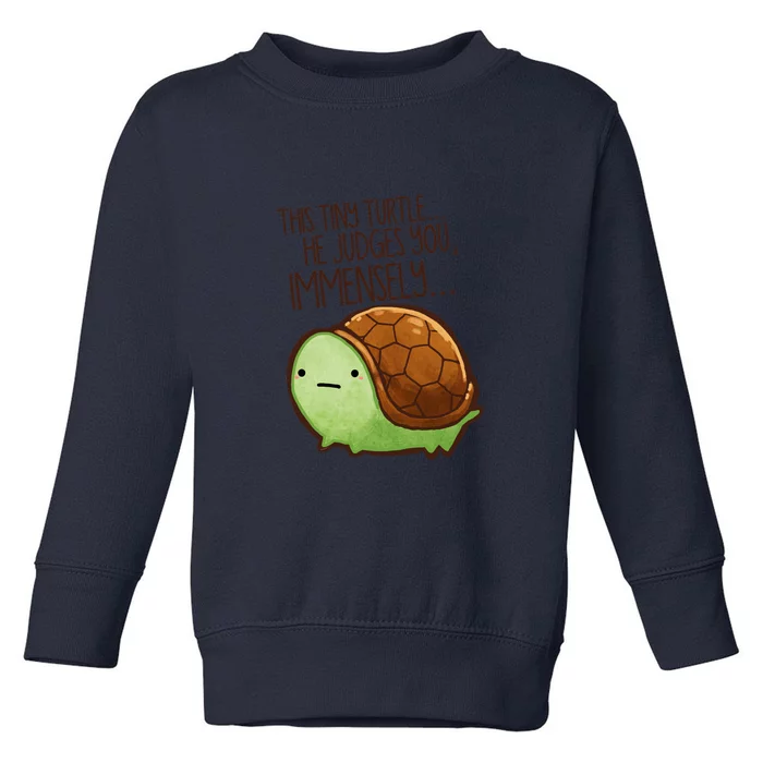 This Turtle.. He Judges You. Toddler Sweatshirt