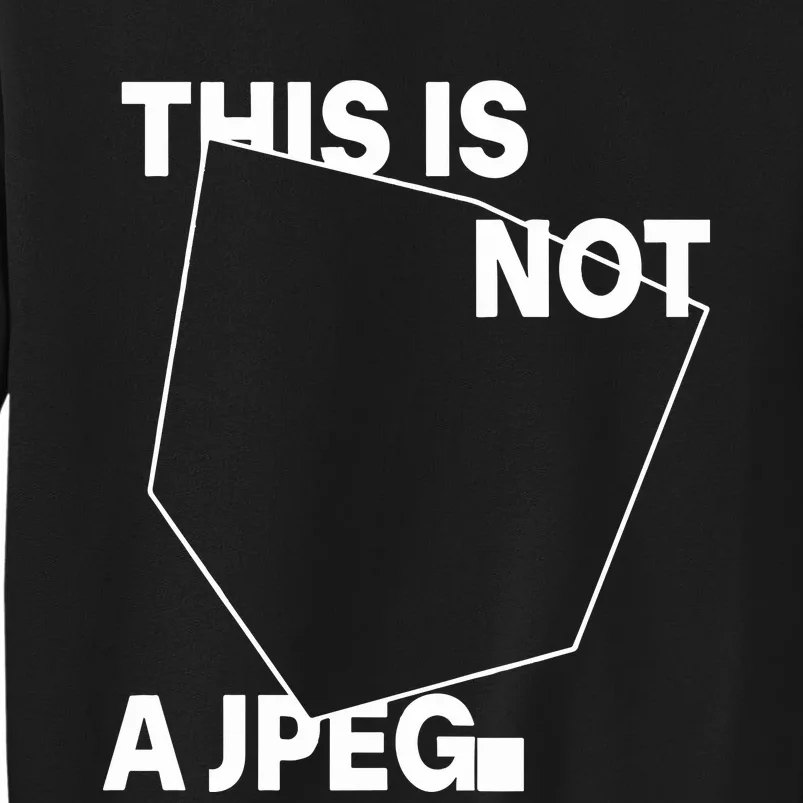 Tinaj This Is Not A Jpeg Sweatshirt