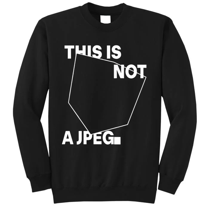 Tinaj This Is Not A Jpeg Sweatshirt