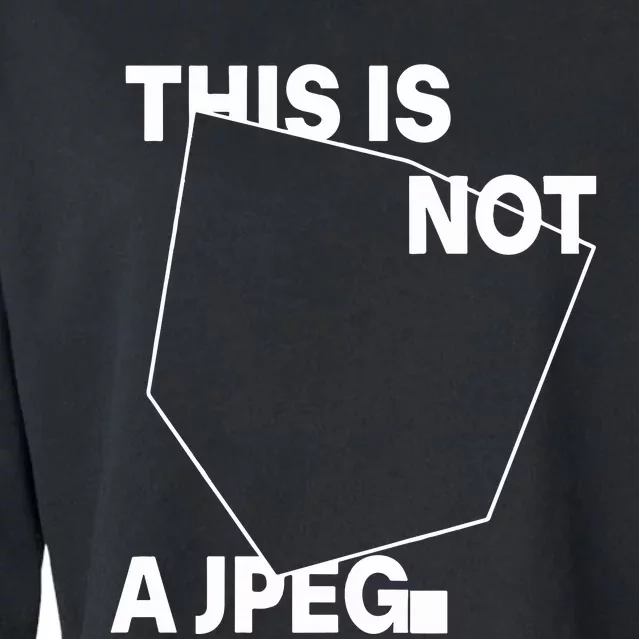 Tinaj This Is Not A Jpeg Cropped Pullover Crew