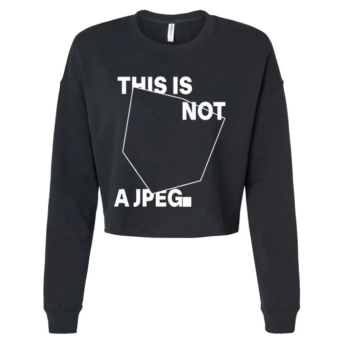 Tinaj This Is Not A Jpeg Cropped Pullover Crew