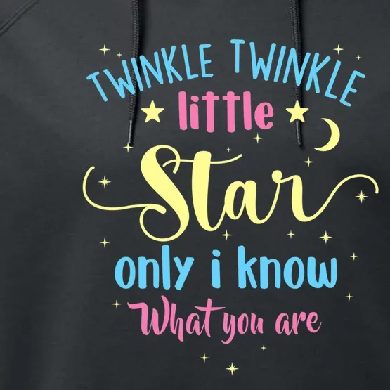 Twinkle Twinkle Little Star Gender Reveal Party Baby Shower Performance Fleece Hoodie