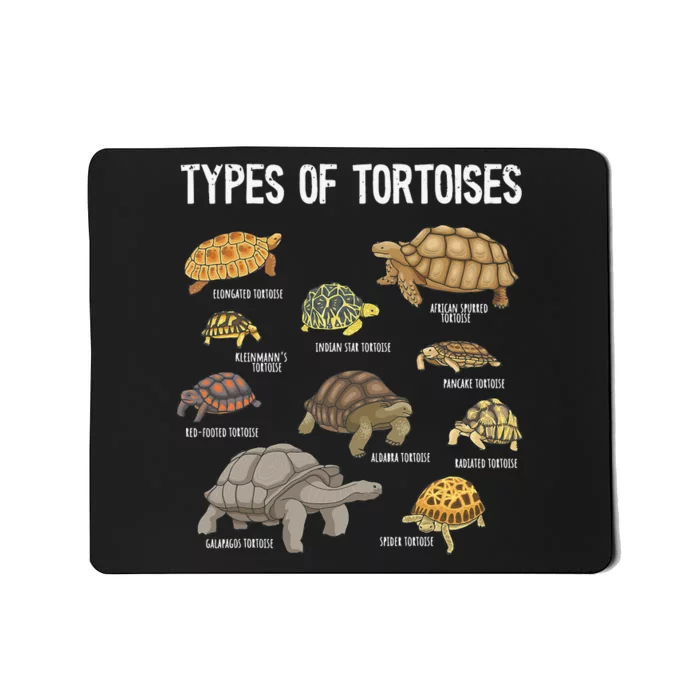 Tortoise Tortoise Lover Reptile Lover Mousepad